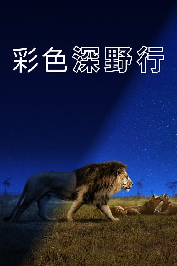 电影《夜色中的地球》的海报