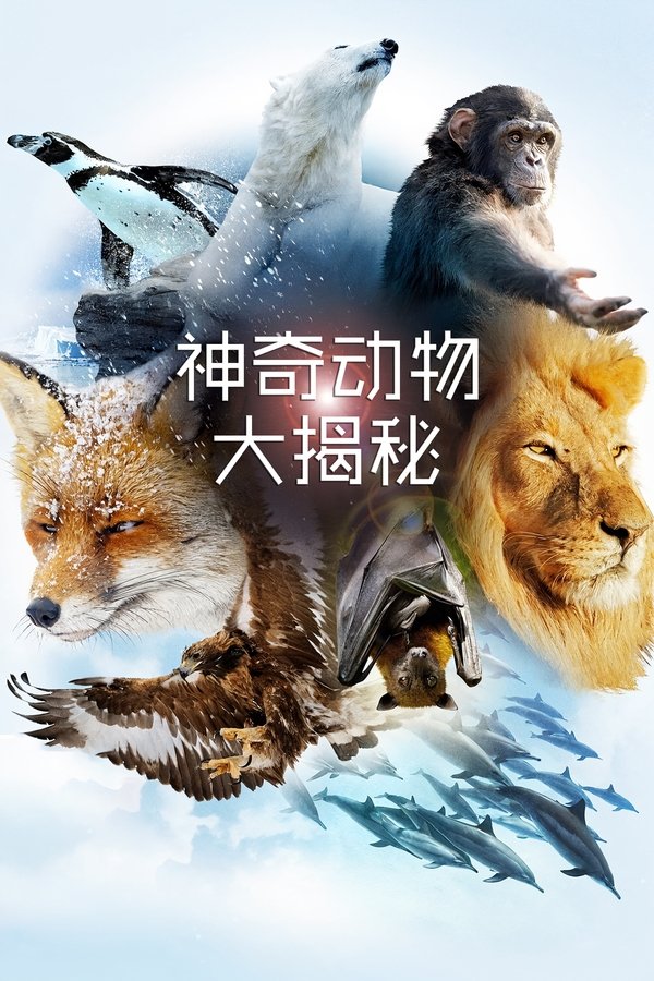 神奇动物大揭秘