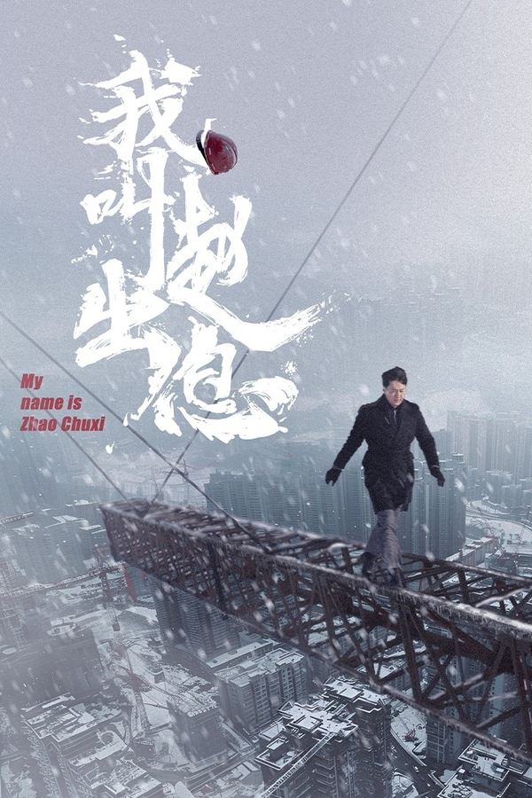 电影《我叫赵出息》的海报