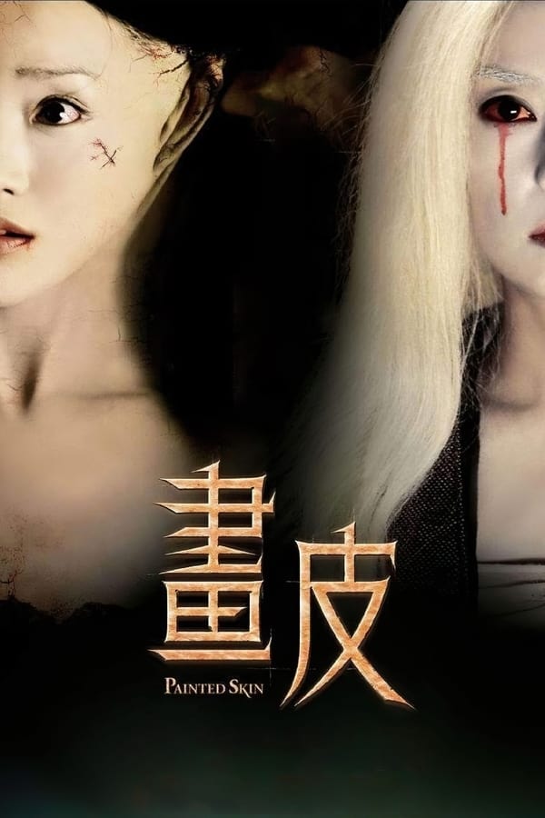 电影《画皮》的海报