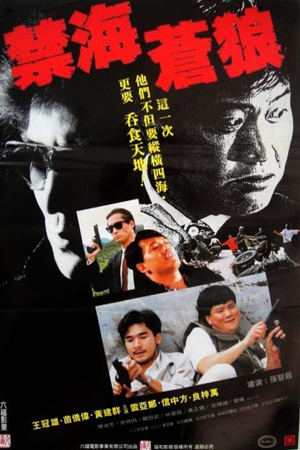 电影《禁海苍狼》的海报