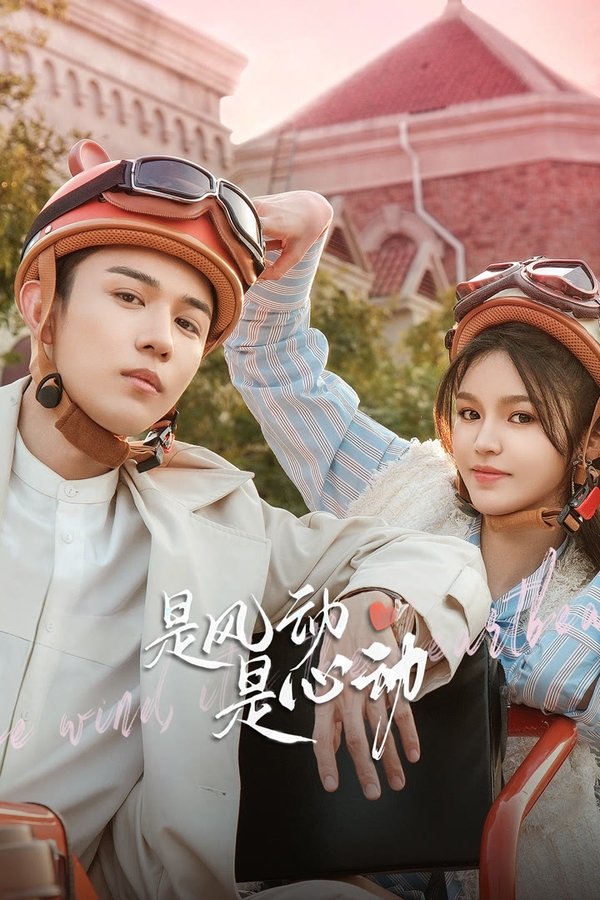 《是风动、是心动》的海报