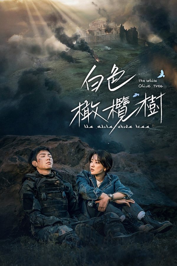 电影《白色橄榄树》的海报