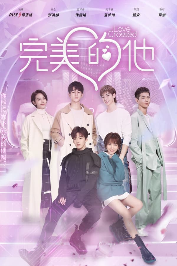 电影《完美的他》的海报