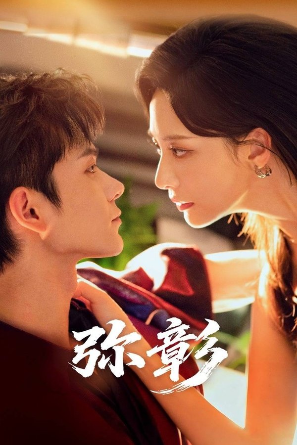 《欲盖弥彰》的海报