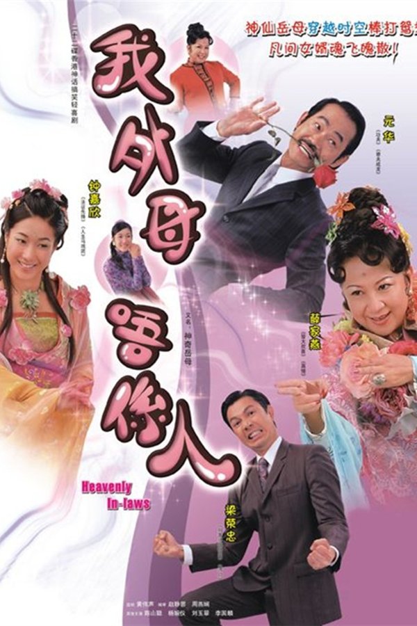 电影《非常岳母》的海报