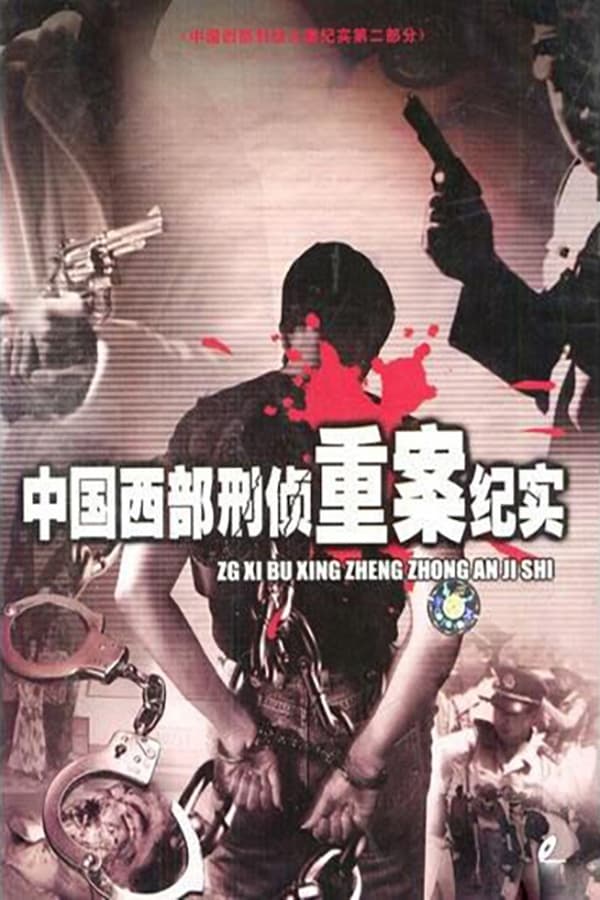 电影《中国西部刑侦重案纪实》的海报