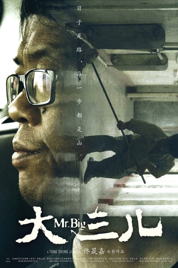 《大三儿》的海报