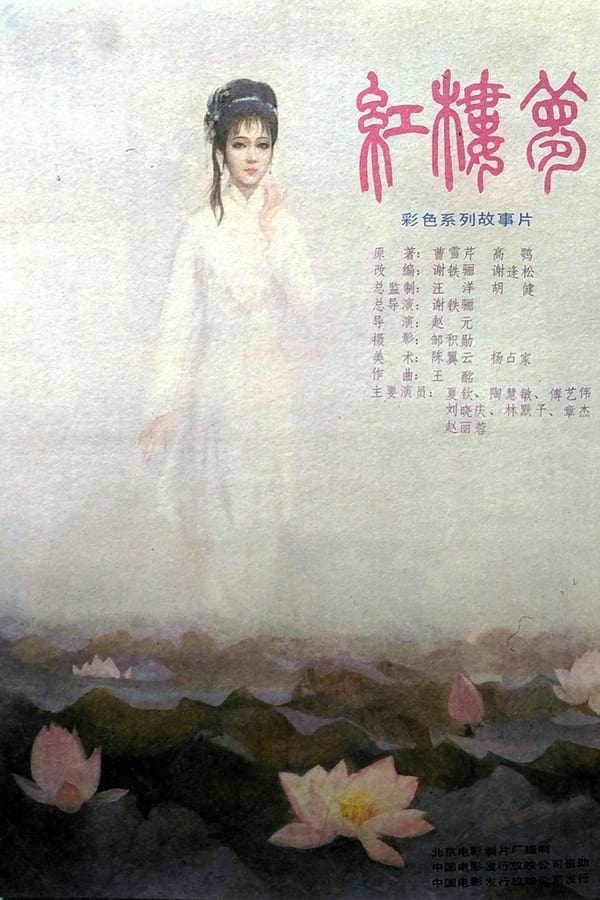 《红楼梦第一部：宝黛相会》的海报