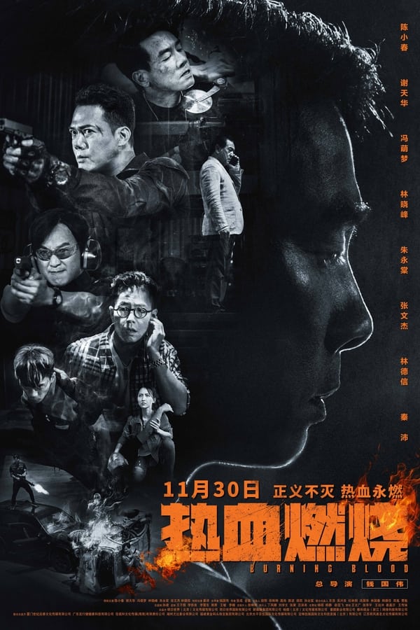 电影《热血燃烧》的海报
