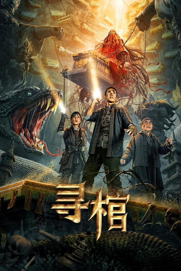 《寻棺》的海报