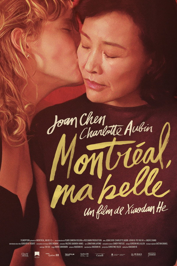 蒙特利尔，我的美人