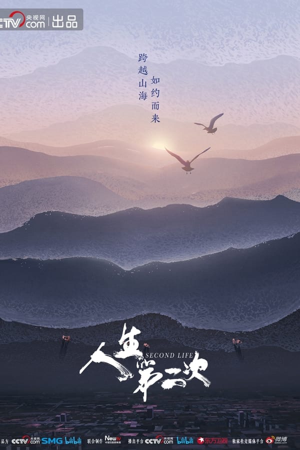 电影《人生第二次》的海报