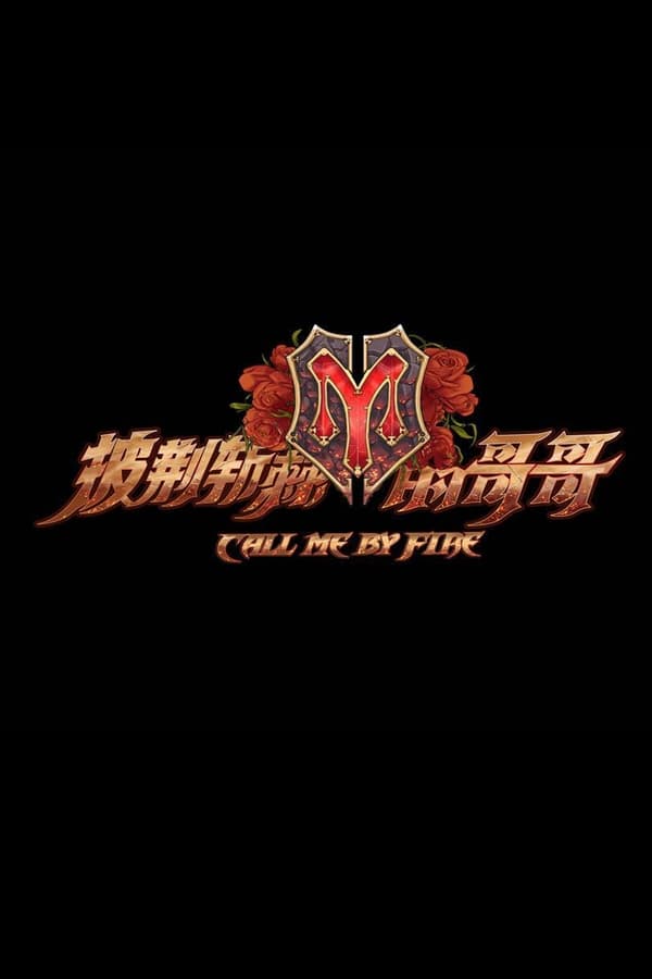 电影《披荆斩棘的哥哥》的海报