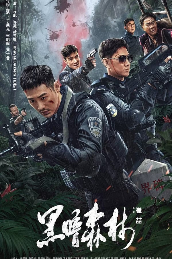 电影《黑暗森林》的海报