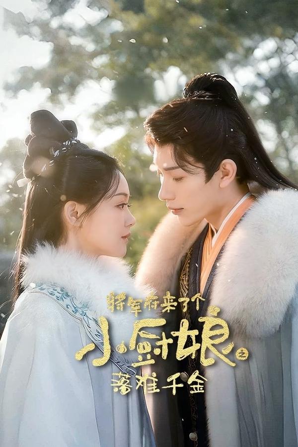 将军府来了个小厨娘之落难千金