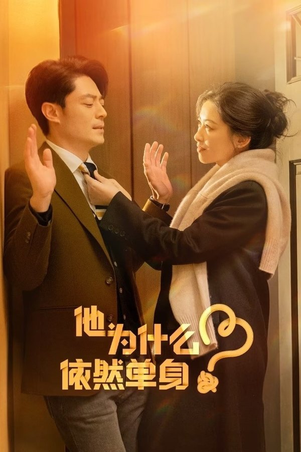 《他为什么依然单身》的海报