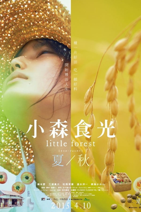 电影《小森林 夏秋篇》的海报