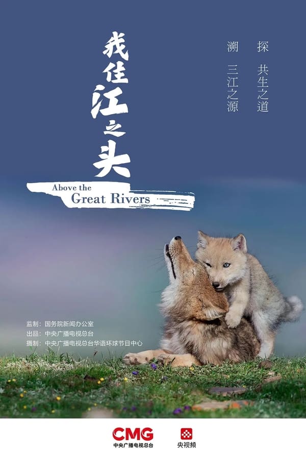电影《我住江之头》的海报
