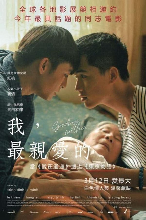 电影《再见，妈妈》的海报