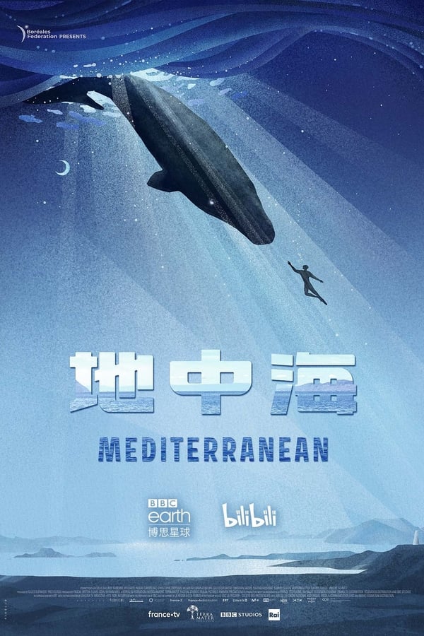 电影《地中海》的海报