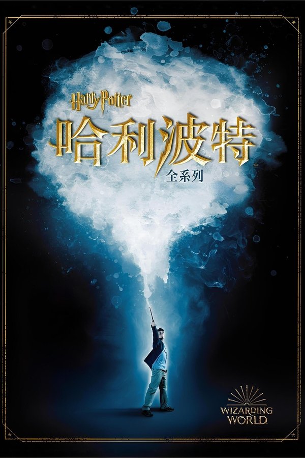 电影《哈利·波特（系列）》的海报