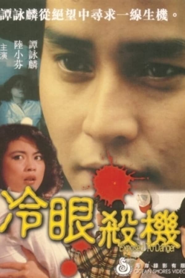 电影《冷眼杀机》的海报