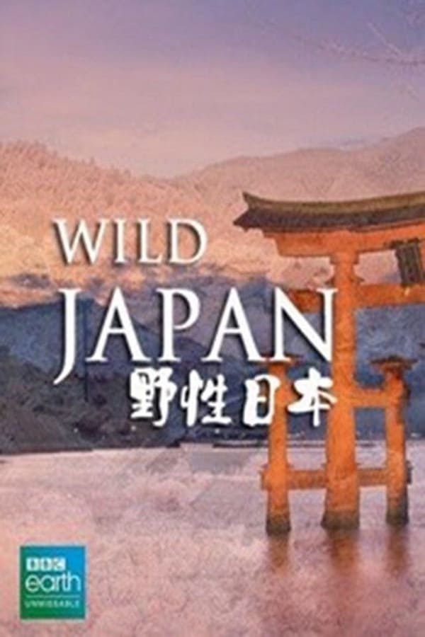 电影《狂野日本》的海报