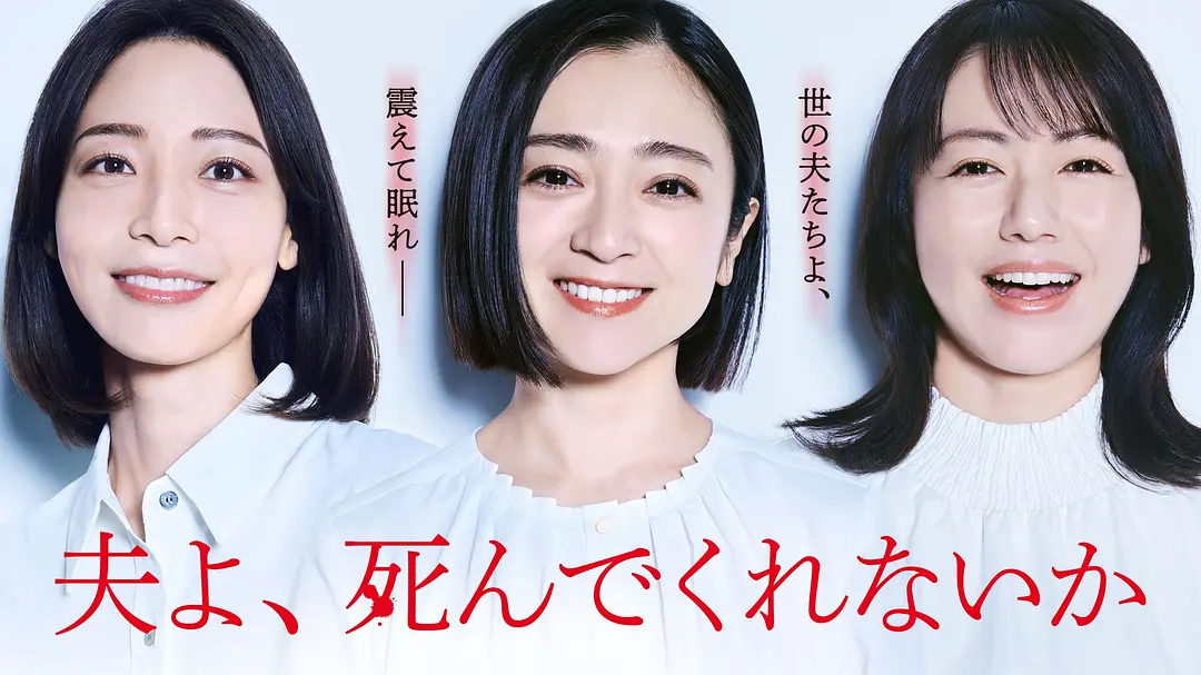 电影《老公啊，你能去死吗》的海报