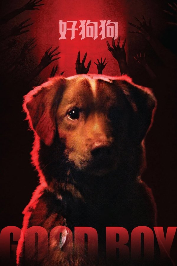 《好狗狗》的海报