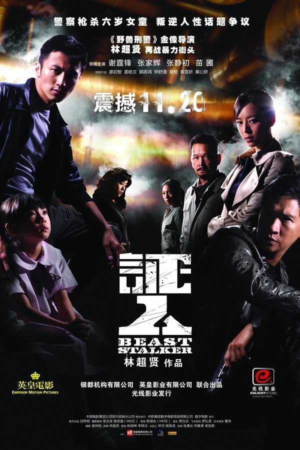 电影《证人》的海报
