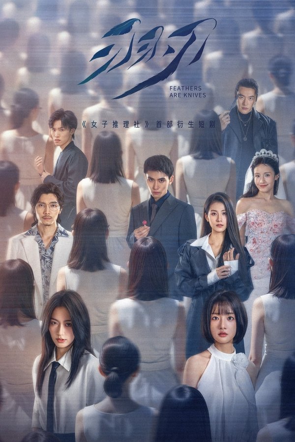 《羽刃》的海报