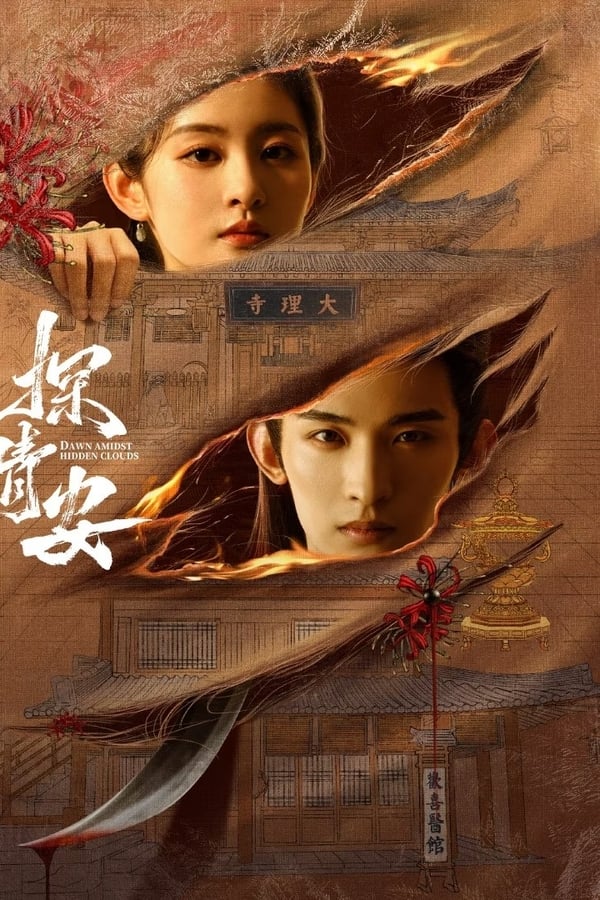 电影《探晴安》的海报