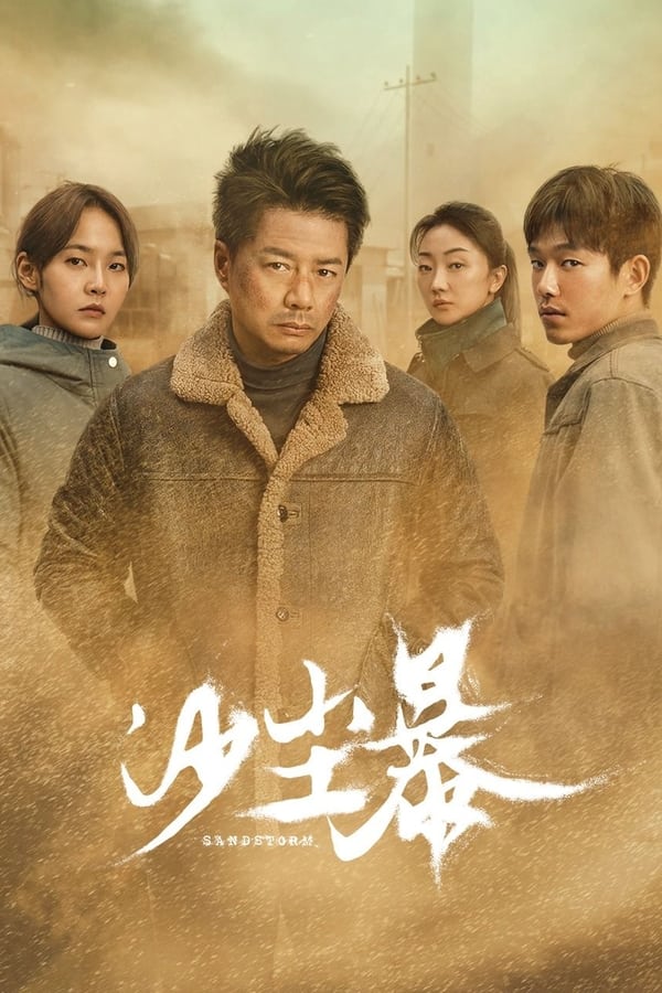 电影《沙尘暴》的海报