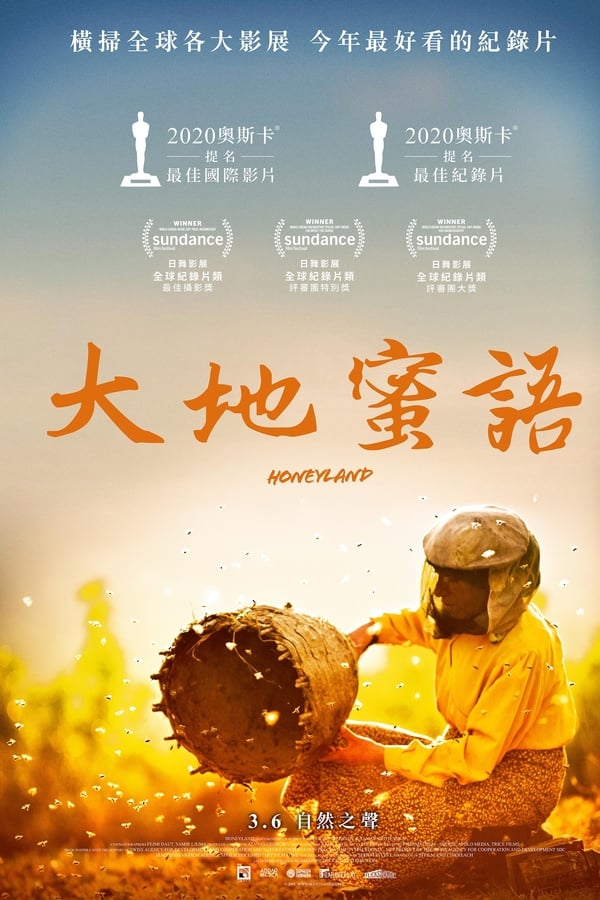 电影《蜂蜜之地》的海报