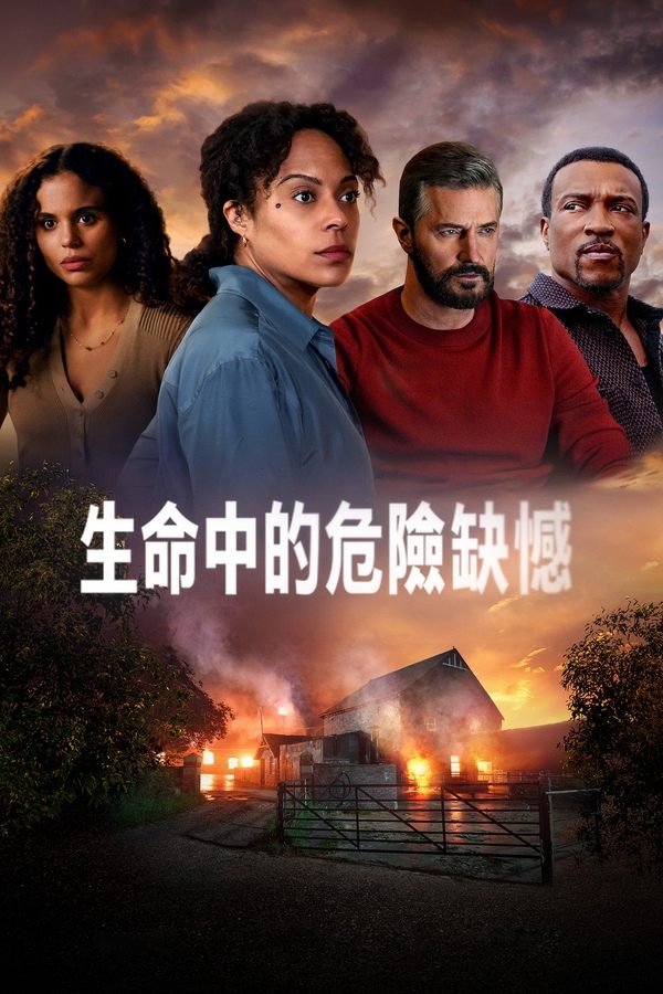 电影《生命中的危险缺憾》的海报