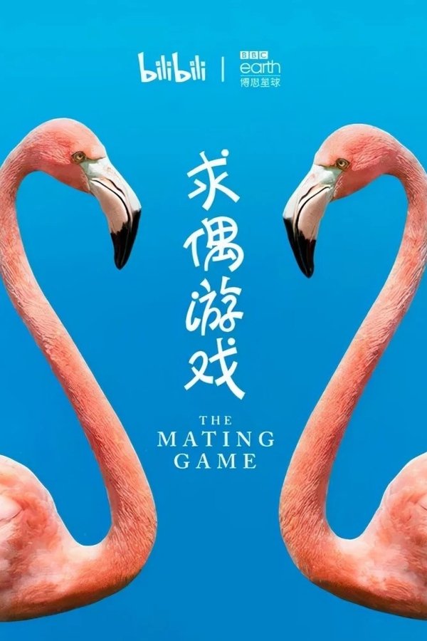 《求偶游戏》的海报