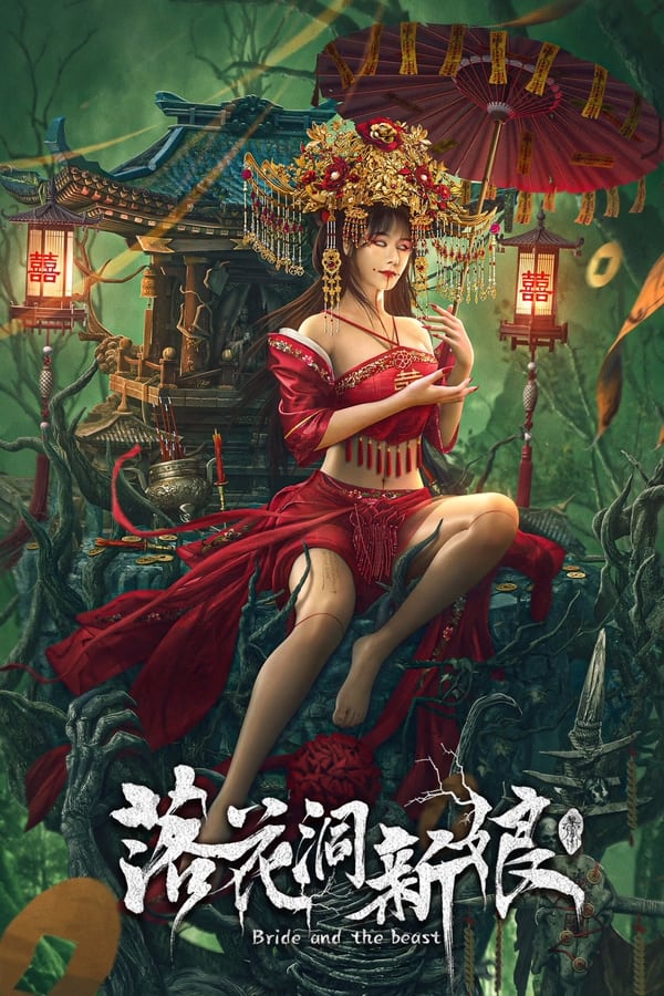 《落花洞新娘》的海报