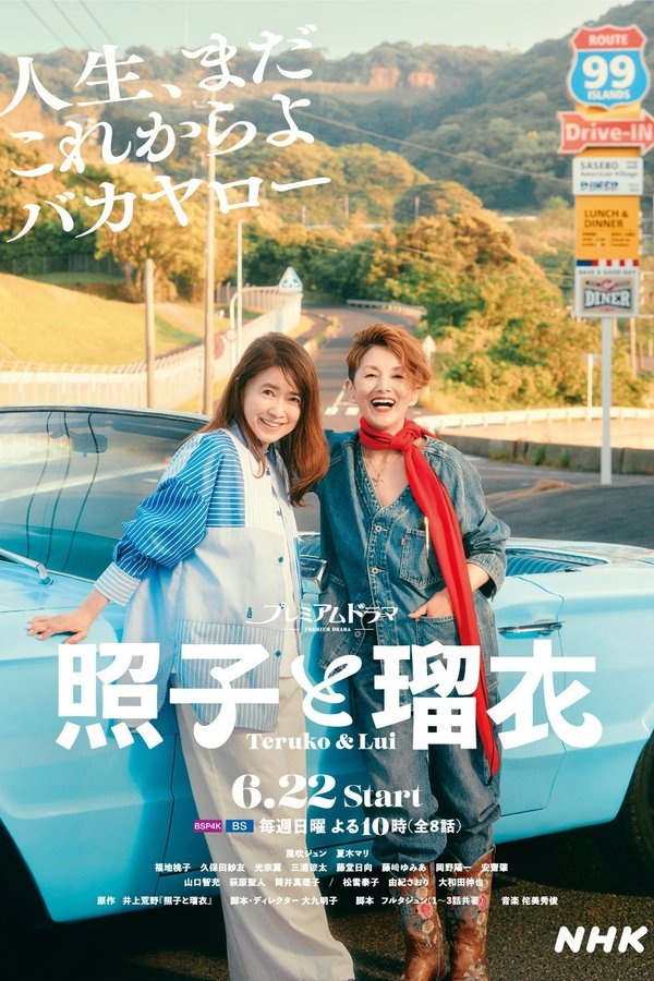 电影《照子与瑠衣》的海报