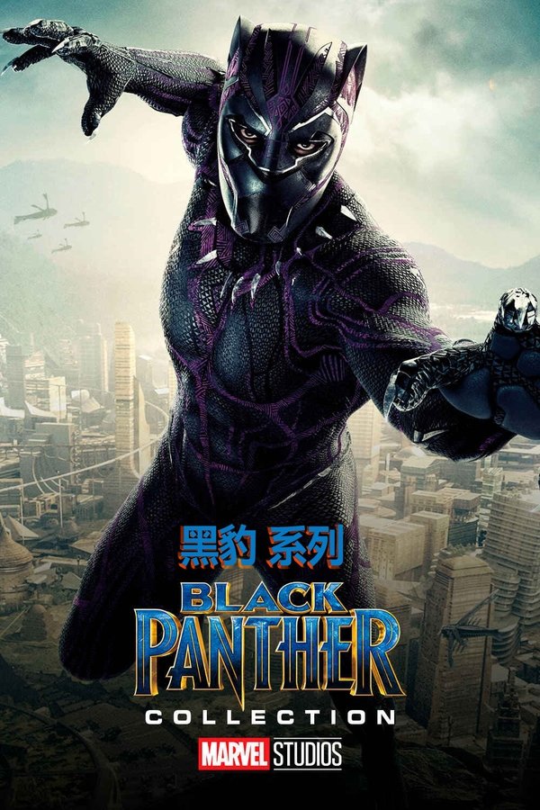 《黑豹（系列）》的海报