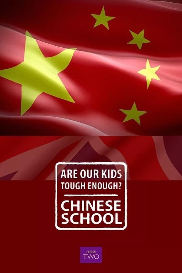 《我们的孩子足够坚强吗？中式学校》的海报