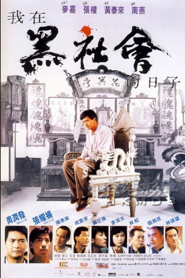 我在黑社会的日子