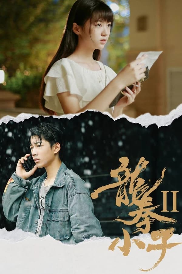 电影《龙拳小子2》的海报