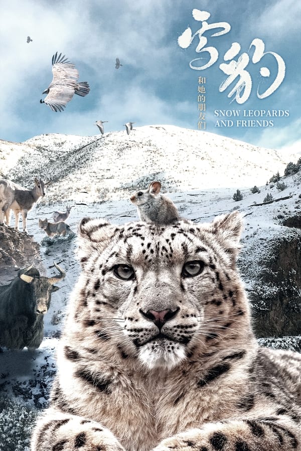 电影《雪豹和她的朋友们》的海报