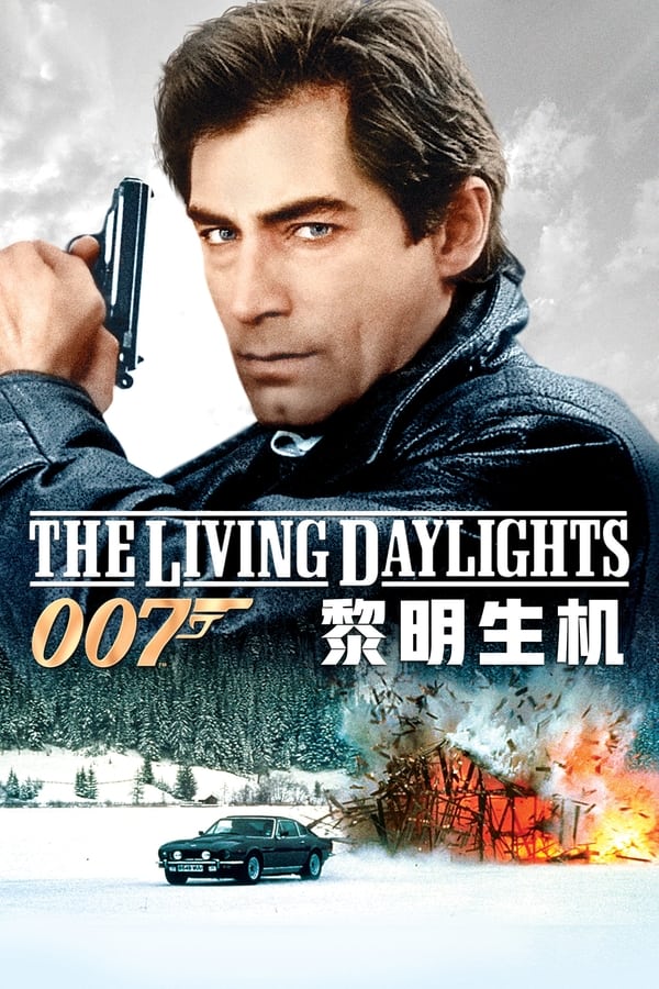 电影《007之黎明生机》的海报