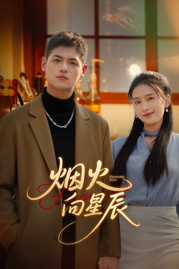 《烟火向星辰》的海报