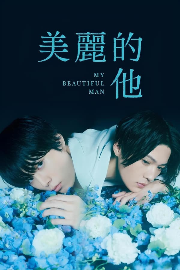 美丽的他