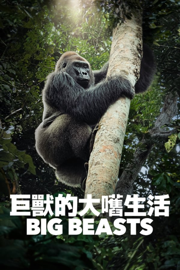 电影《巨兽》的海报