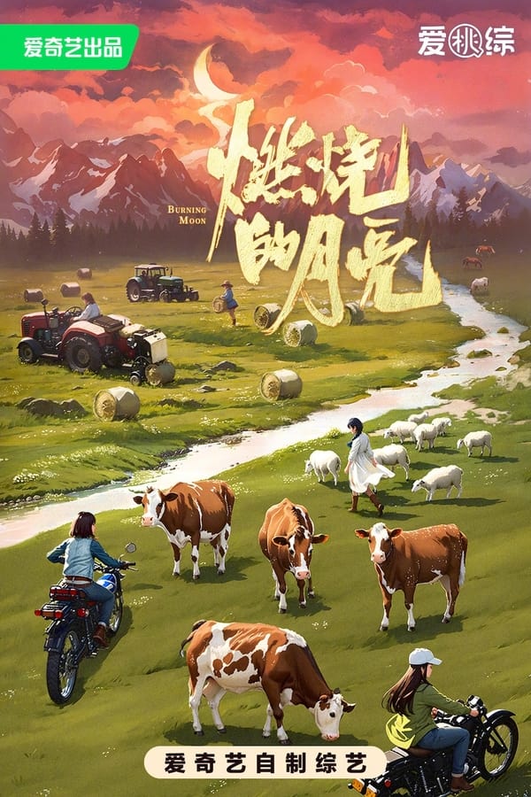 电影《燃烧的月亮》的海报