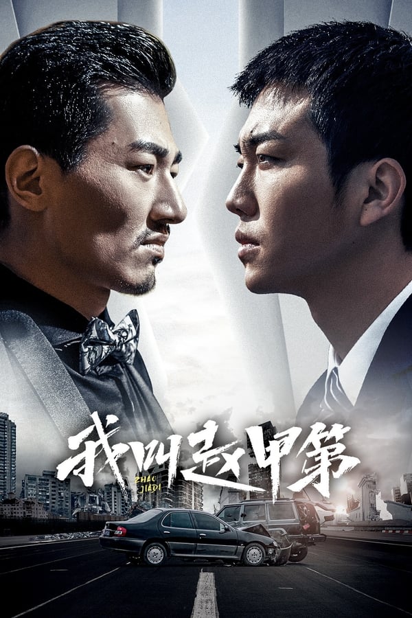 电影《我叫赵甲第》的海报